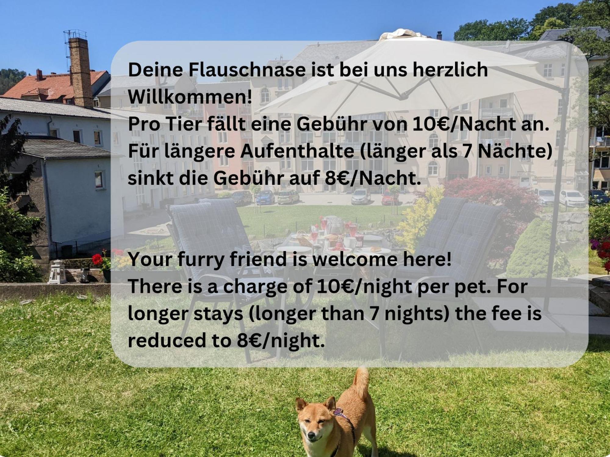 Zi1 - Urlaubsmagie - Erholung Mit Whirlpool & Sauna Sebnitz Exterior photo